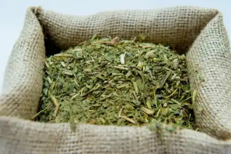Yerba mate: el INYM advierte que la cadena productiva está en riesgo 720 1 - 2