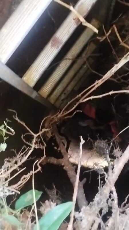 Apóstoles: un niño de 11 años sobrevivió tras caer en un pozo de agua abandonado 1 Apóstoles