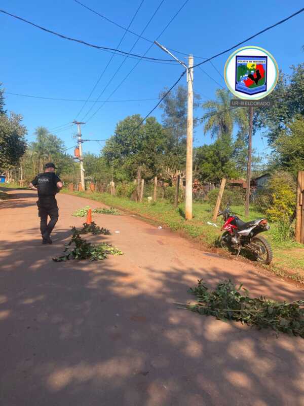 Misiones en alerta: fin de semana con múltiples accidentes y víctimas fatales 2 Fin de semana trágico en Misiones: aumento de accidentes y víctimas en rutas y calles