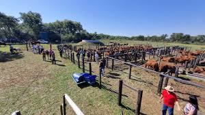 La Expo Rural de Misiones con total éxito: récord de público y remates millonarios Expo
