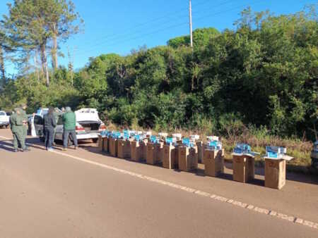 Secuestraron 80 toneladas de marihuana y cigarrillos ilegales en Misiones Gendarmería