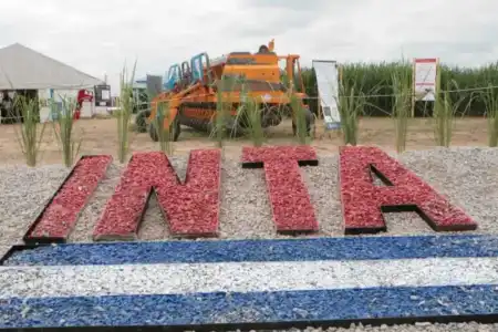 Alertan que los despidos en el INTA y otros organismos nacionales son "una provocación" e inconstitucionales Gobierno