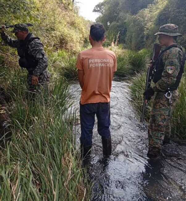 Armas y tala ilegal: dos operativos ambientales en Misiones Imagen de WhatsApp 2025 08 03 a las 13.50.30 3ee48741 e1754253530602 - 2