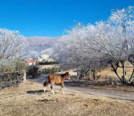 Imagen de WhatsApp 2025 08 04 a las 19.21.13 69137fbe e1754346167351 - 1