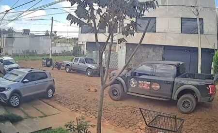 Buscan a automovilista que atropelló y mató a un perro en Posadas Secuestran