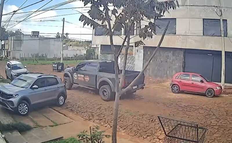 La policía de Posadas busca a conductor que atropelló a un perro y huyó 
