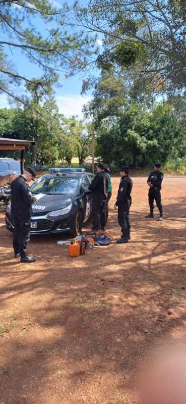 Detenidos por cortar pinos en propiedad privada de Santo Pipó