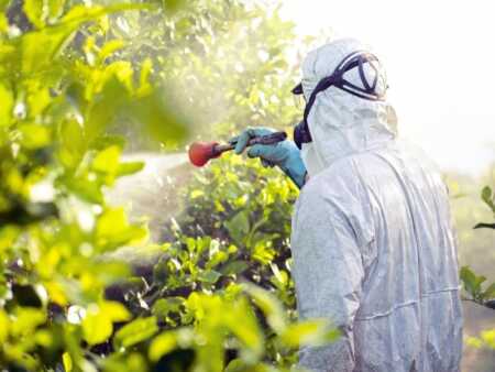 Gestión de envases de fitosanitarios: avances y deudas pendientes en Misiones fitosanitarios