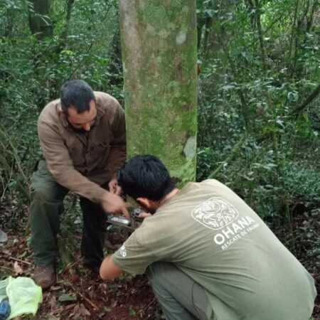 OHANA presenta la campaña “Todos por la Biodiversidad” La campaña busca financiar el rescate y rehabilitación de fauna silvestre en Misiones.