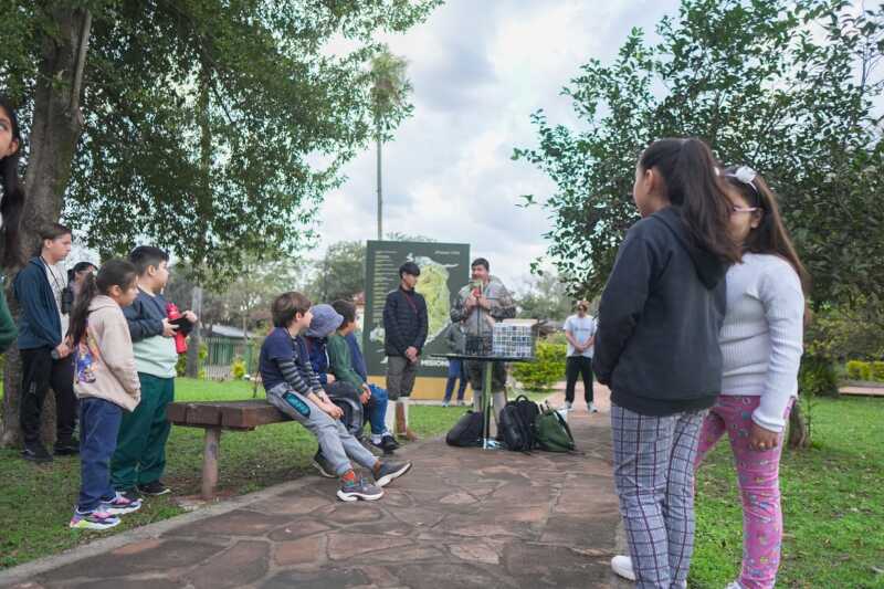 Pichones Observadores4 - 6