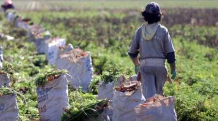 trabajo infantil en Misiones