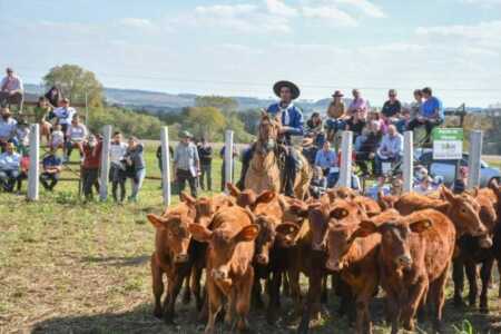 Expo Rural en Fachinal