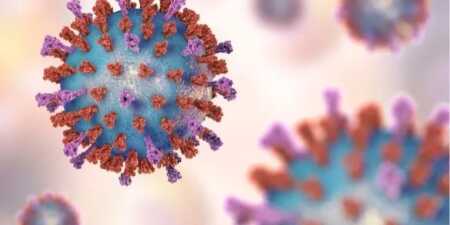 Virus sincicial respiratorio: vacuna gratuita para embarazadas y consejos para evitar contagios Virus sincicial respiratorio