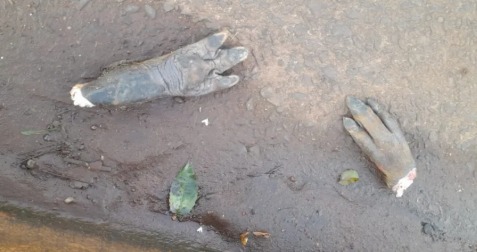 Vergonzoso: faenaron un carpincho en la zona del Zaimán y dejaron los restos 4 WhatsApp Image 2025 08 20 at 10.06.28 - 3