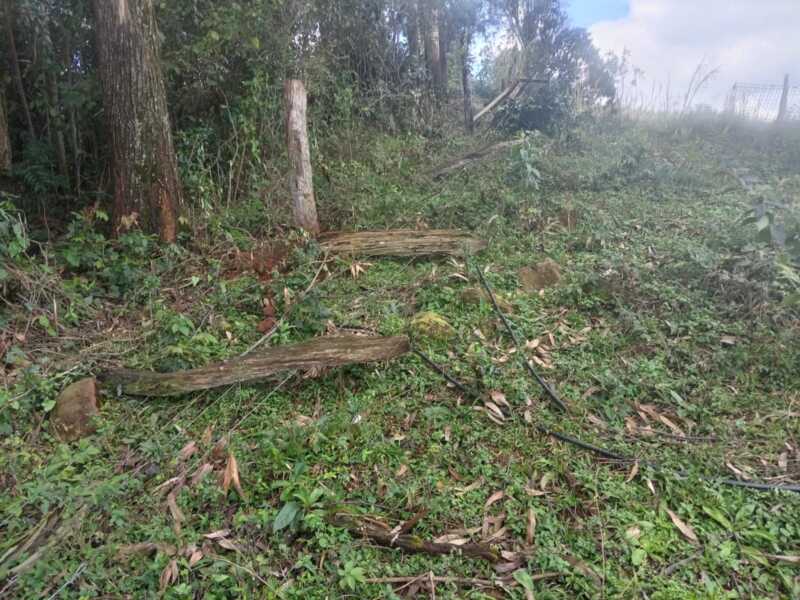 Amenazas y tiros en Dos Hermanas: “No queremos un muerto en una disputa por hectáreas” 3 WhatsApp Image 2025 08 29 at 08.55.49 - 2
