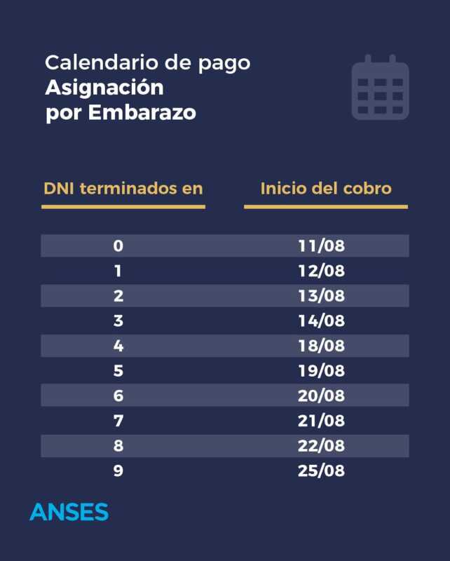 ¿Cuándo cobro Anses? Calendario completo de pagos de agosto 2025 2 Asignación por Embarazo (AUE)