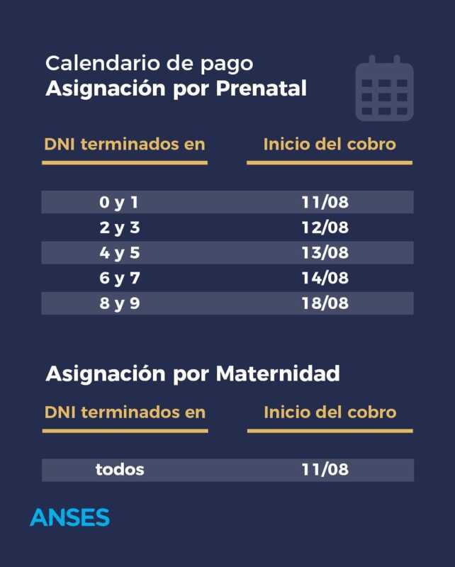 ¿Cuándo cobro Anses? Calendario completo de pagos de agosto 2025 3 Prenatal y Maternidad