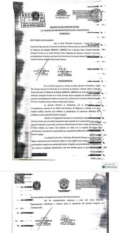 Denuncia a la directora de la Escuela Normal Superior N° 4 de Oberá por irregularidades 9 El pedido de informe de las diputadas Gladys Cornelius y Rosa Kurtz.