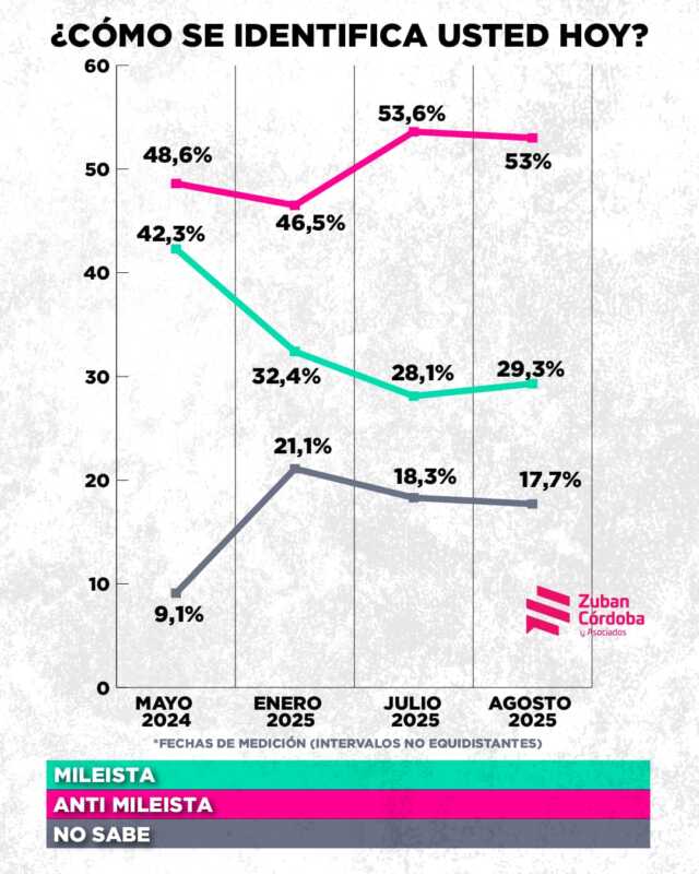 El experimento libertario enfrenta sus límites. El nuevo clivaje es Mileiantimilei, y eso obliga a todos los espacios a recalcular.