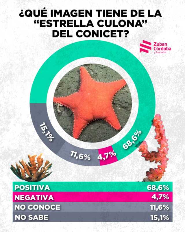 La “estrella culona” del CONICET tiene 68,6% de imagen positiva, más que cualquier político nacional. Orgullo por la ciencia argentina como motor de cohesión social y símbolo de consensos que la política no logra replicar.