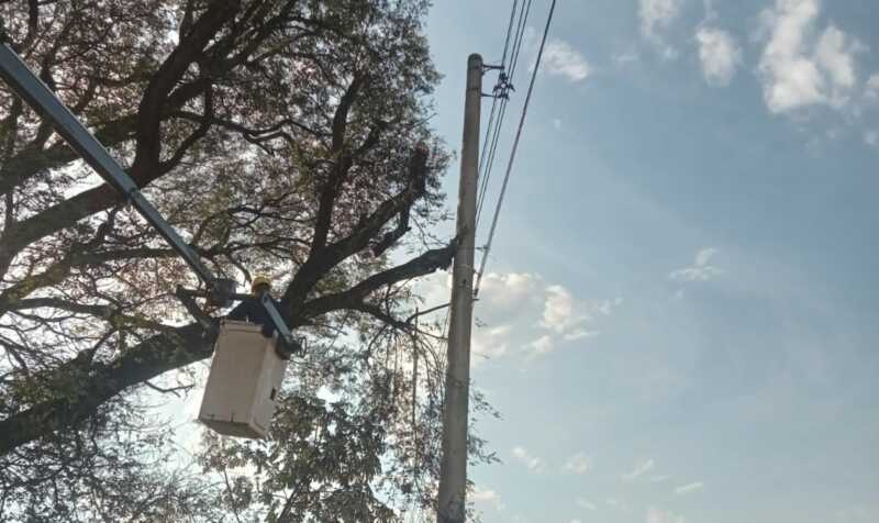 Energía de Misiones realizó mantenimiento de líneas en cuatro barrios de Candelaria energia