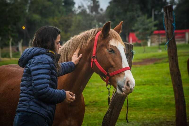 equinoterapia misiones