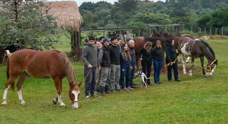 equinoterapia misiones 3 - 3