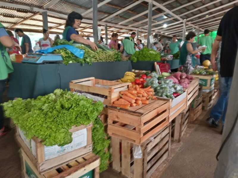 Ferias Francas: 30 años conectando productores y consumidores en toda la provincia 3 Celebrando 30 Años de Ferias Francas: Historia, Innovación y Producción Local en Misiones.