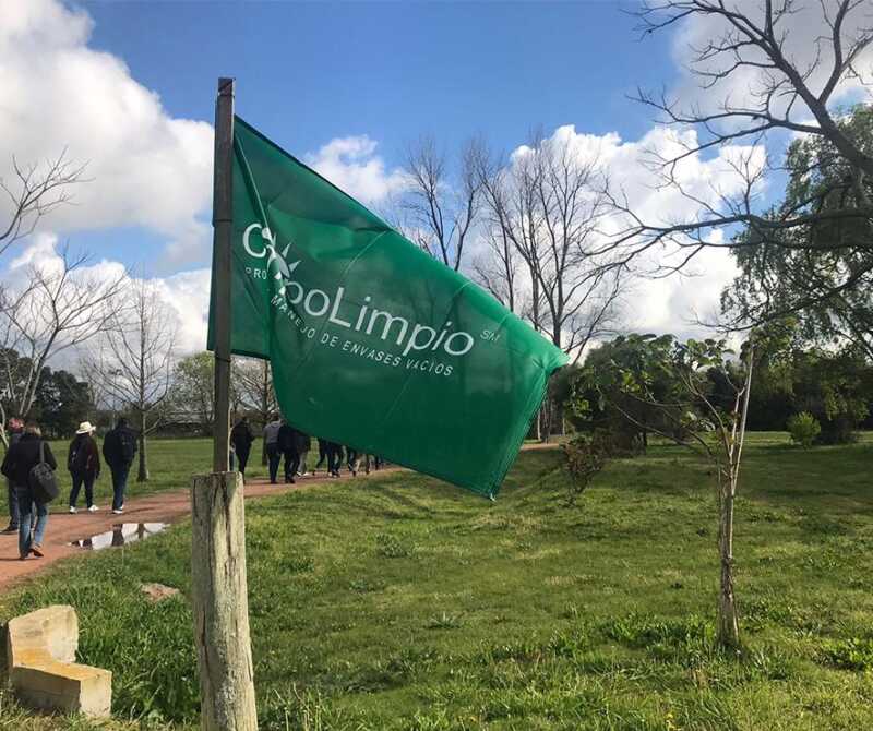 Misiones avanza en la gestión y reciclaje de envases fitosanitarios 5 Misiones impulsa un sistema sostenible para envases vacíos de fitosanitarios