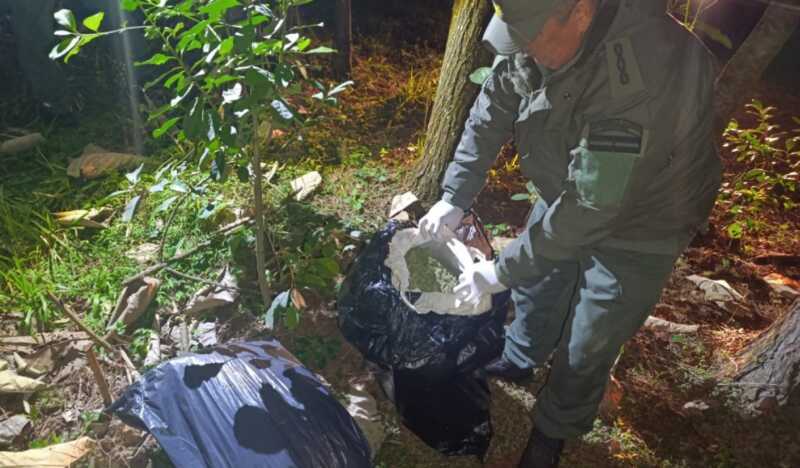 gendarmería marihuana