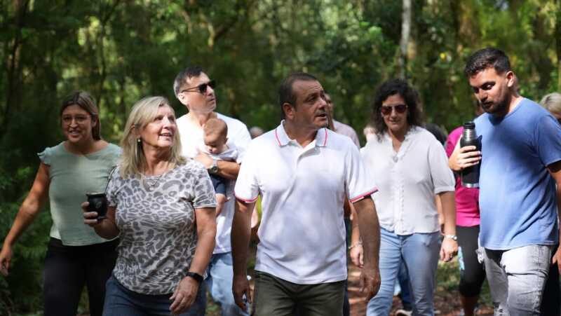Candidaturas en revisión 3 candidaturas