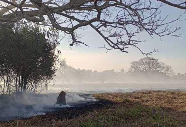 Corrientes: los fuertes vientos impulsan 30 focos de incendio y elevan el riesgo en toda la provincia 5 incendio forestales corrientes - 4