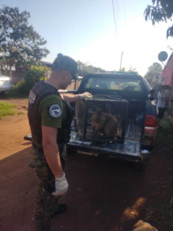 policia de misiones - 6
