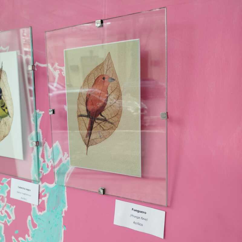 Último día para visitar “Rumor de Alas”, arte y naturaleza en la Universidad Gastón Dachary 16 rumor de alas 11 - 15