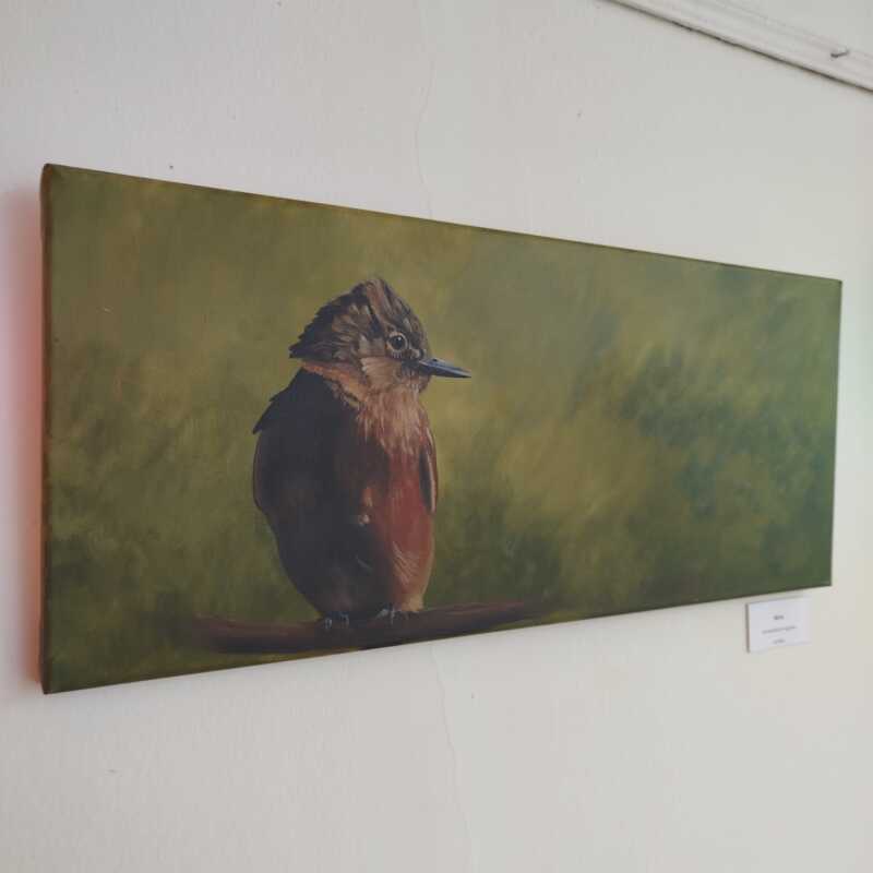 Último día para visitar “Rumor de Alas”, arte y naturaleza en la Universidad Gastón Dachary 14 rumor de alas 15 - 13