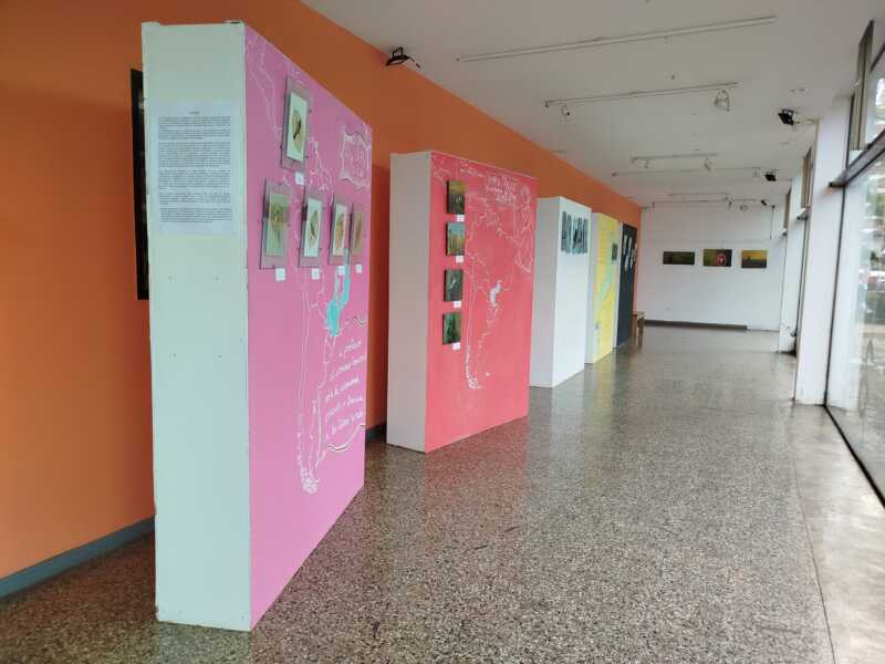 Último día para visitar “Rumor de Alas”, arte y naturaleza en la Universidad Gastón Dachary 2 rumor de alas 2 - 1