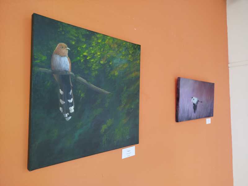 Último día para visitar “Rumor de Alas”, arte y naturaleza en la Universidad Gastón Dachary 4 rumor de alas 5 - 3