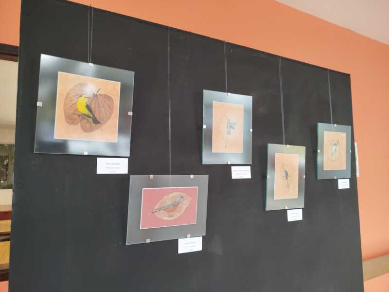 Último día para visitar “Rumor de Alas”, arte y naturaleza en la Universidad Gastón Dachary Universidad Gastón Dachary