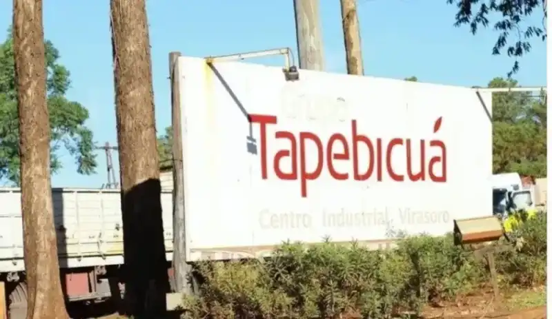 tapebicua