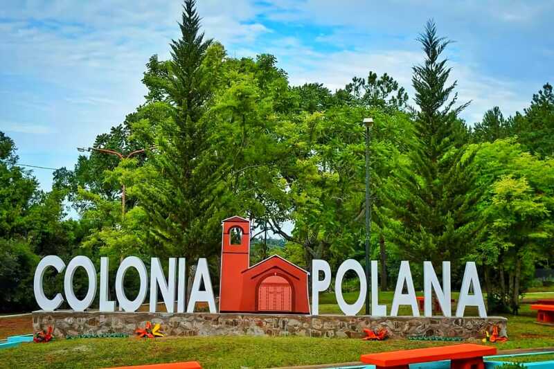 Colonia Polana: denuncian tala masiva de pinos y eucaliptos en propiedades privadas 3 Más de 100 hectáreas fueron arrasadas en Colonia Polana