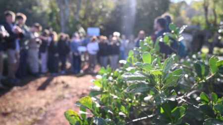 Innovación y sustentabilidad marcan la 30º Fiesta Provincial del Agricultor en Andresito Andresito Programa Jornada Tecnica - 2