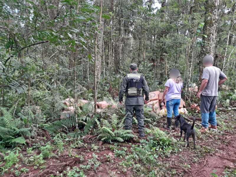 Secuestraron cargamento de cigarrillos por más de $35 millones en Colonia Victoria 3 Colonia