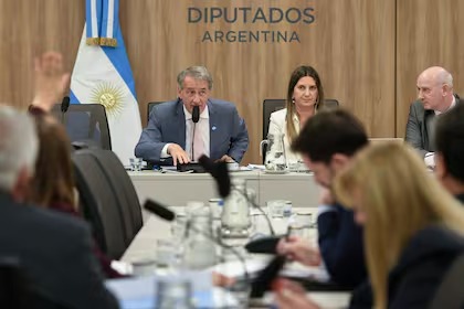 En una semana se firmará dictamen para llevar al Congreso los cambios al régimen de los DNU DNU diputados