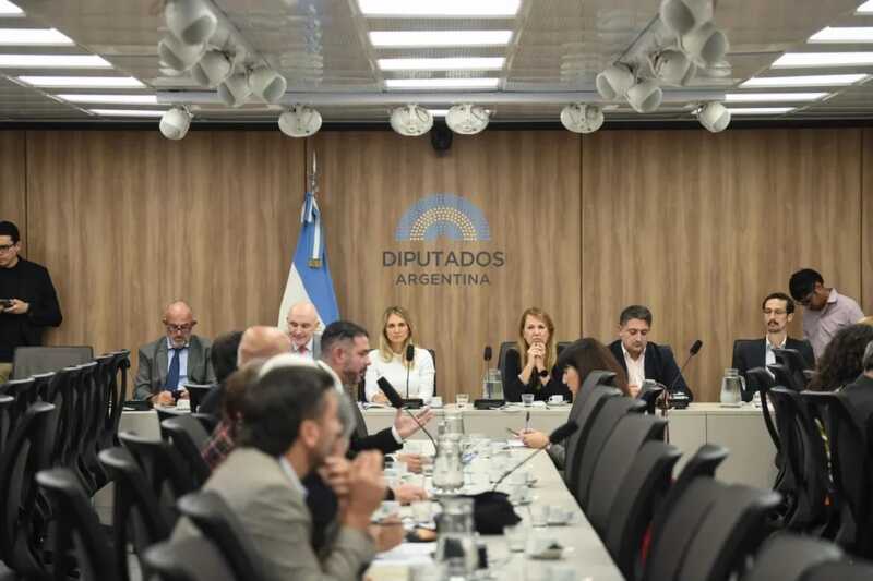 En una semana se firmará dictamen para llevar al Congreso los cambios al régimen de los DNU 2 DNU diputados