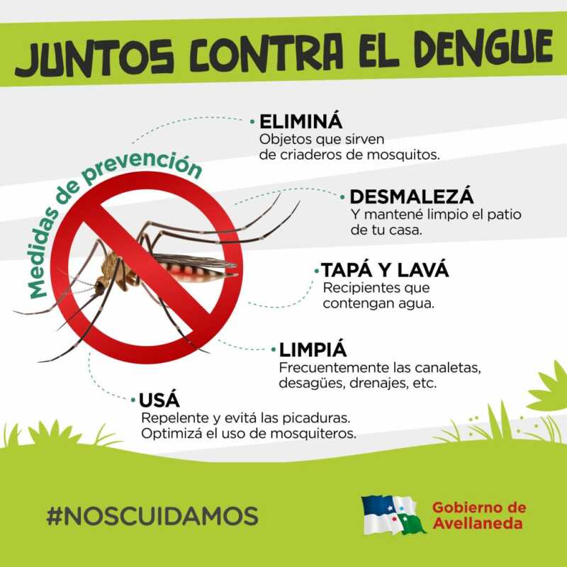 Dengue 3 - 4
