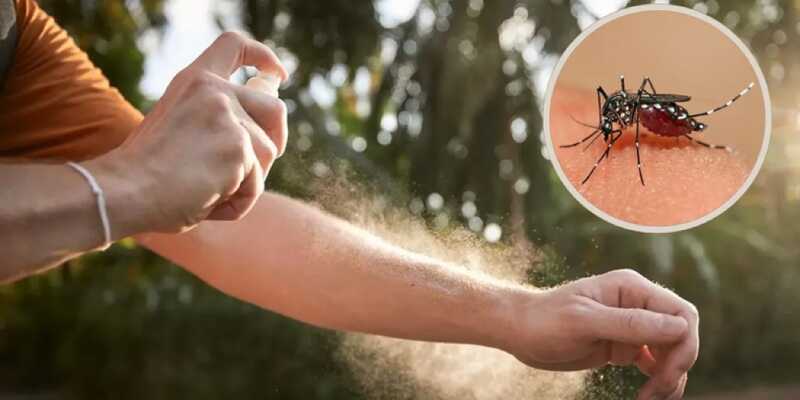 Dengue