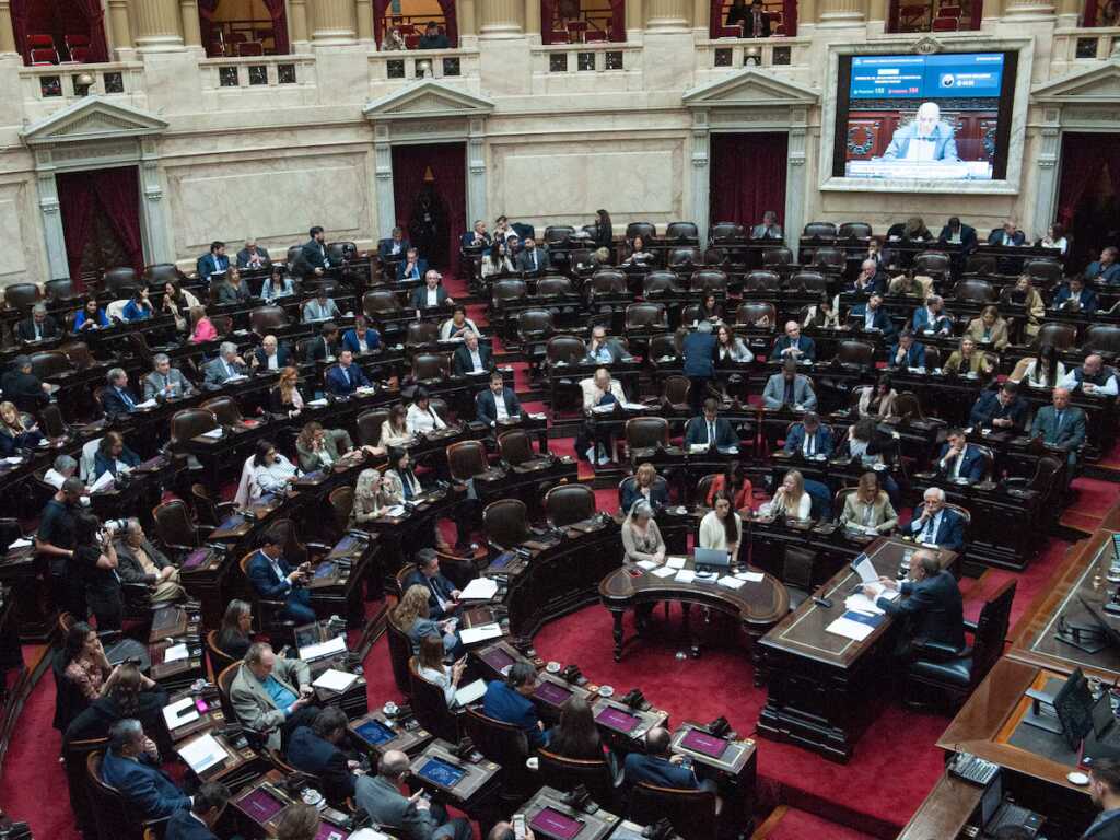 Diputados: la oposición apunta a rechazar los vetos a las leyes del Garrahan y Universidades Con 119 votos a favor, Diputados anuló el decreto presidencial que frenaba la Ley de Emergencia en Discapacidad.