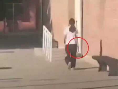 Mendoza aplicará multas de hasta $2 millones a padres por casos de bullying escolar Mendoza multas
