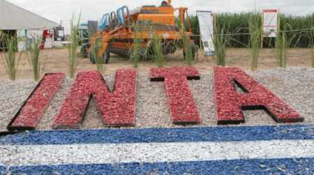 inta