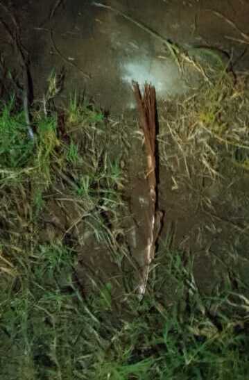 Imagen de WhatsApp 2025 09 01 a las 20.58.30 21dff1e8 e1756771645186 - 2